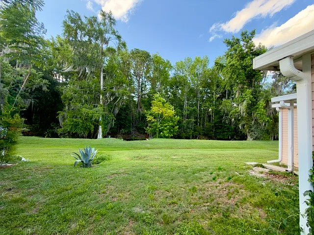 707 Robin Ln — Photo 16