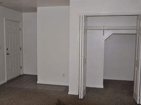 Storage in Coat Closet