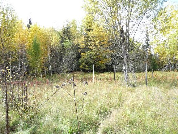 3rd image of 26105 County Road 496