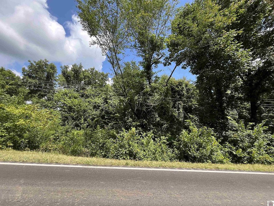 2nd image of 10065 Blandville Rd
