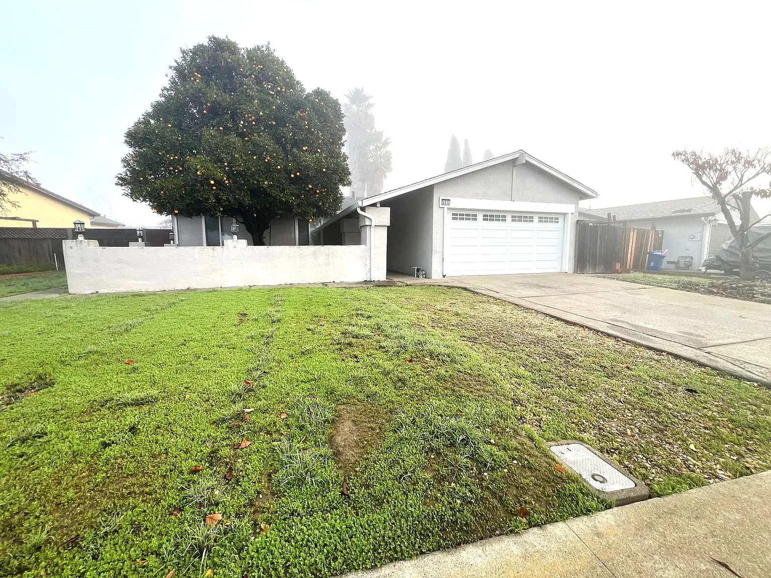 2932 Daisy St photo 1