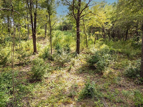 3rd image of 0 Garner St