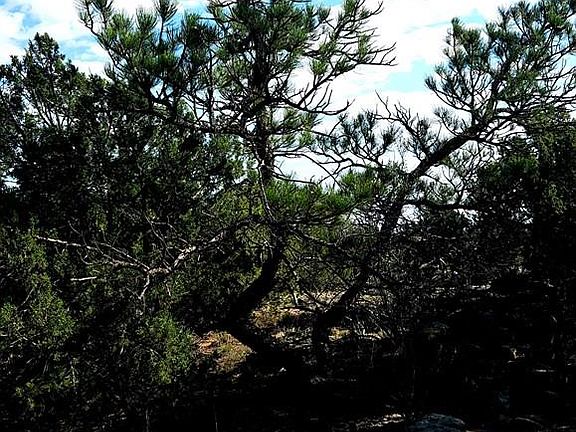 5th image of LOT 60 Turkey Ridge Rd