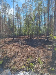 0 E DIXIE Street, Palatka, FL, 32177