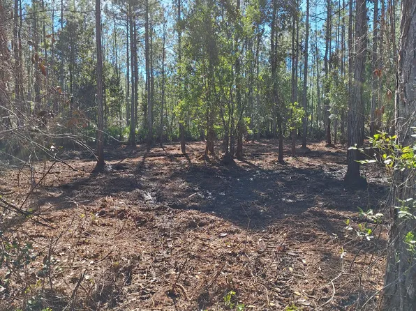 0 E DIXIE Street, Palatka, FL 32177