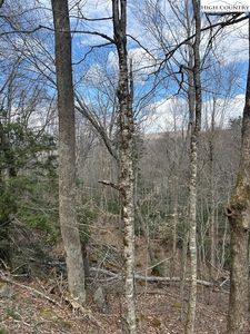 116 E Blueberry Lane, Banner Elk, NC, 28604