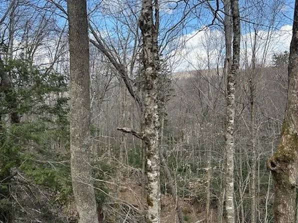 116 E Blueberry Lane, Beech Mountain, NC 28604