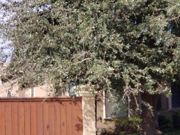 3rd image of 10205 N 26th St