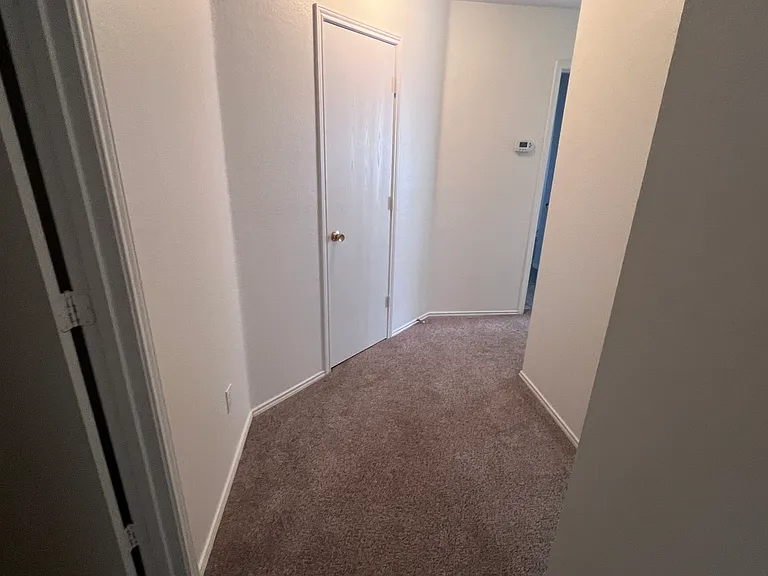 2545 Brinlee Branch Ln — Photo 28