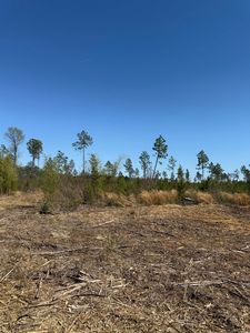 TBD Mincey Dr. #TR 7-A, Loris, SC, 29569