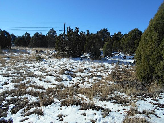 2nd image of 8417 Lone Pine Pl