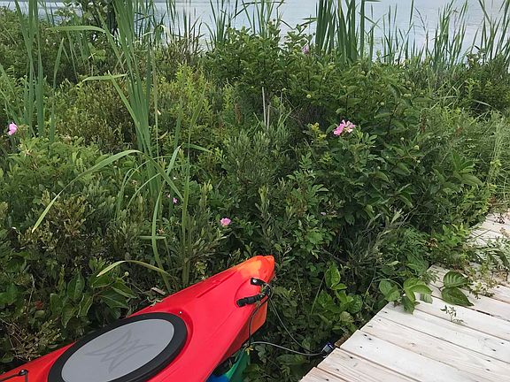 4th image of 9 Moose Pond Ln