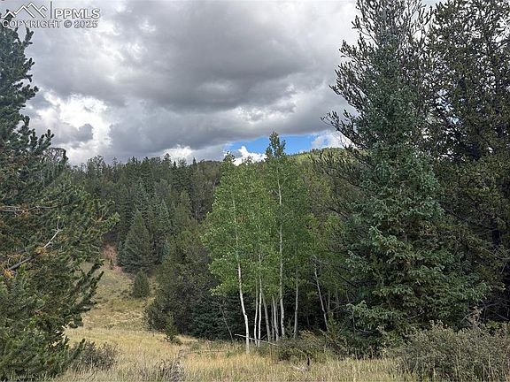 3rd image of 70 Brown Bear Ln