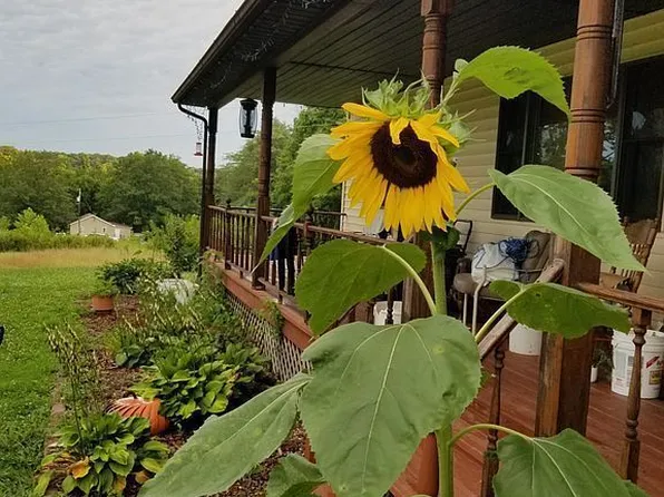 145 S Iron Furnace Rd, Elizabethtown, IL 62931