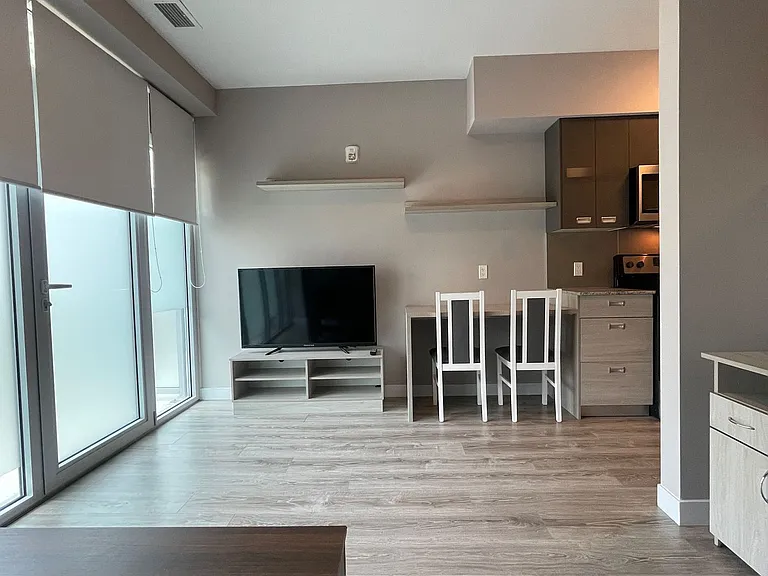 250 Albert St #102 — Photo 21