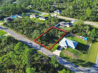 Fisher Loop Pass LOT 2, Ocklawaha, FL 32179