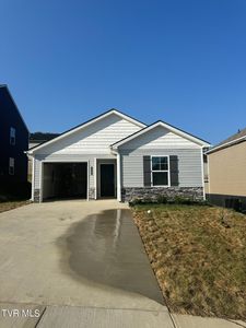 1134 Clearwater Ln, Johnson City, TN, 37601