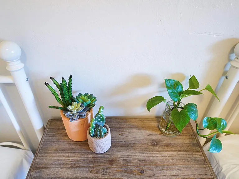 36021 Blair Pl — Photo 39