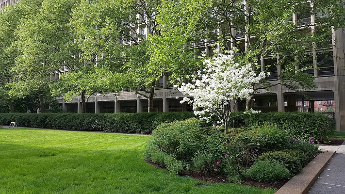 Rented by Compass | media 21