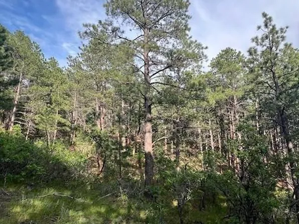 19855 Capella Drive, Monument, CO 80132