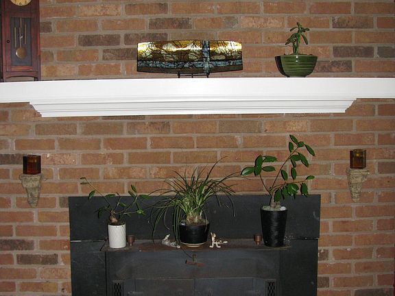 LR-wood burning insert