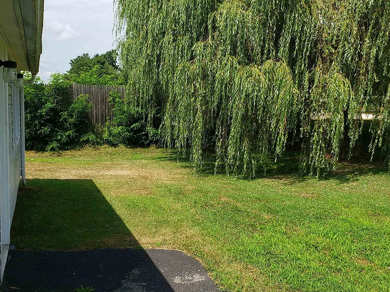 49 Pine Hill Rd — Photo 16