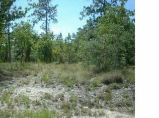 8251 Nittany Rd, Weeki Wachee, FL 34613