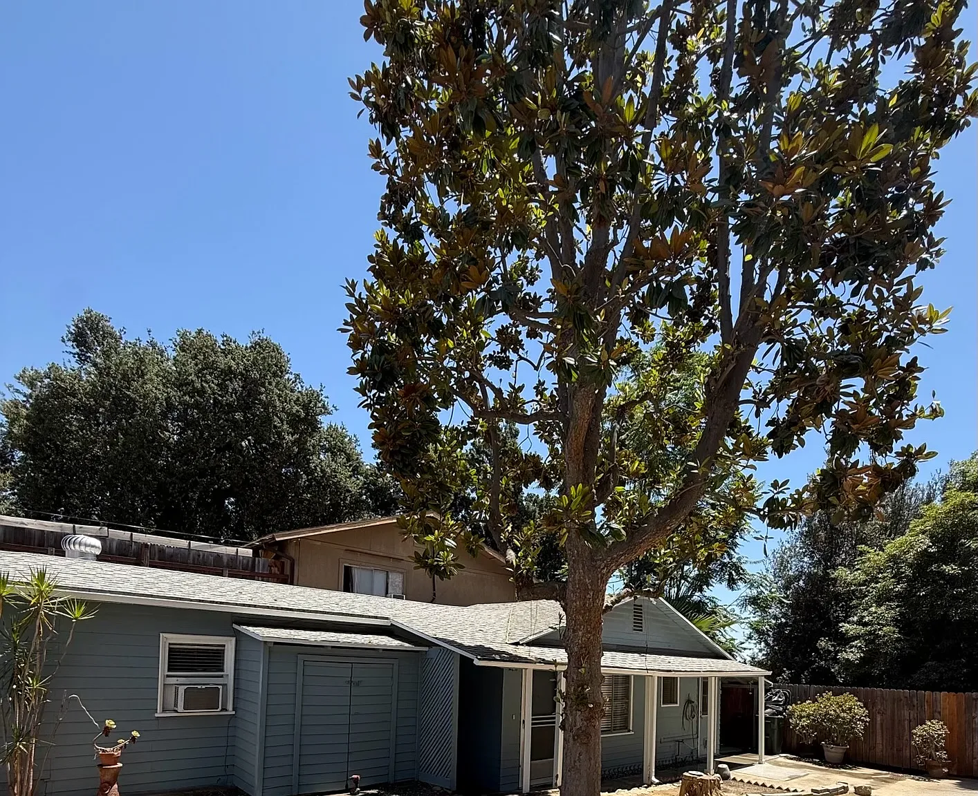 1 bed, 600 sqft, $1,995 — Photo 1