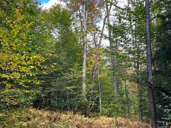 0 Moore Hill Lot 1 Road, Stephentown, NY 12169