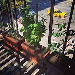 Rented by Aryeh Realty