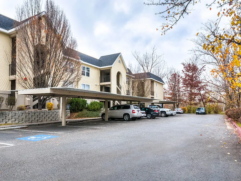 Clearwater Apartments — Photo 15