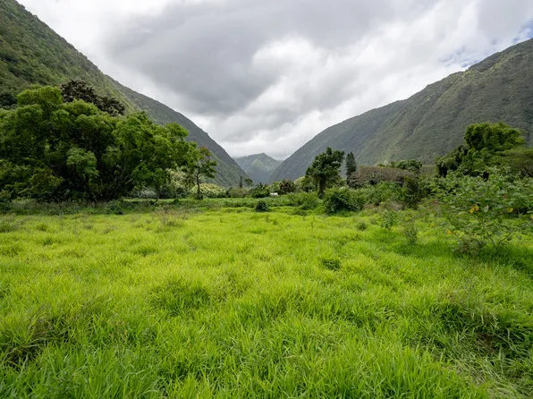 Waipio Valley Rd Lot 1, Honokaa, HI 96727