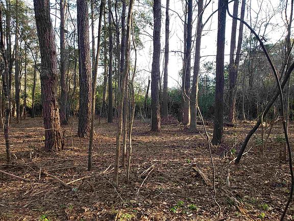 5th image of LOT 12 Charles Samuel Dr