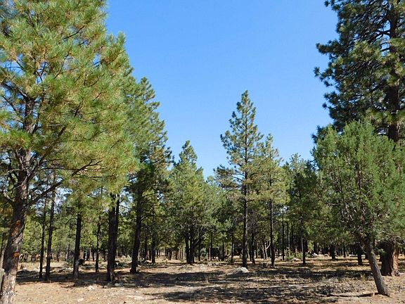 2nd image of 2647 Arapaho Dr Lot 610
