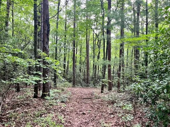 Ralston Creek Trl, Ellijay, GA 30536