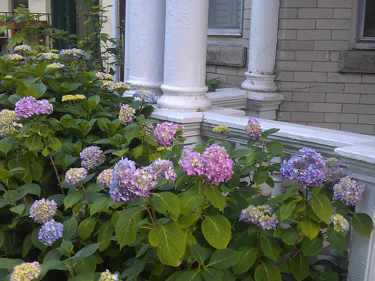 1835 W Grace St #1 — Photo 2