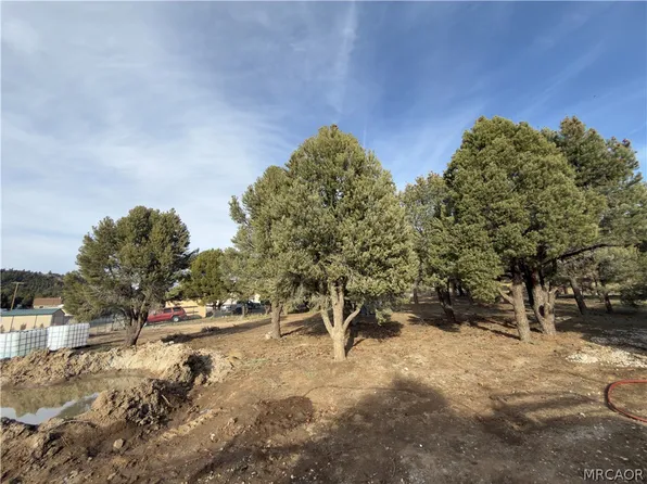 1820 Golden Rod Ave, Big Bear City, CA 92314
