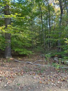 11-1 Parsons Hill Road Map 9 Lot 11-1, Strafford, NH, 03884