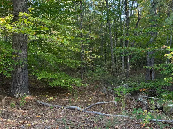 11-1 Parsons Hill Road Map 9 Lot 11-1, Strafford, NH 03884