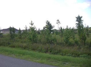 336 Emanuel Church Rd, Brunswick, GA 31523