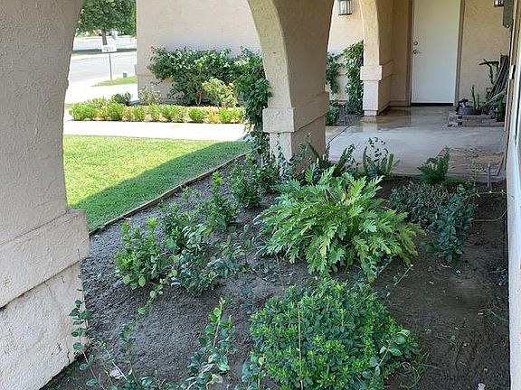 Tropical & Fragrant Shaded Garden in front of Home.