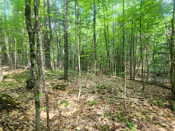 0 Canaan Rd, McNab/braeside, ON K7V 3Z4