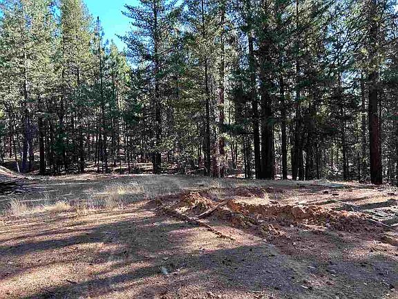5th image of 13417 Patterson Creek Rd