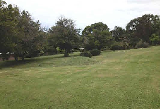 2nd image of 45 487th #7