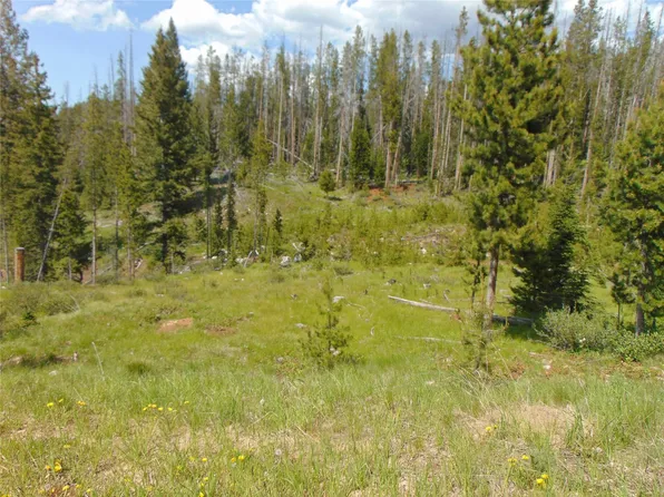 Nhn Pyrenees Ln, Anaconda, MT 59711