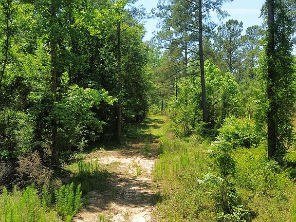 5th image of 0 Charlie Williams Rd