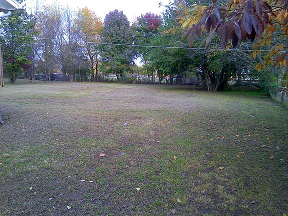 Beautiful Tree-Lined Backyard - Your Very Own Park