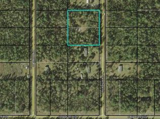 10325 Beckenger Ave, Hastings, FL 32145