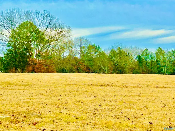 3225 County Road 209, Danville, AL 35619