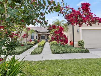 226 Shell Falls Dr, Apollo Beach, FL, 33572